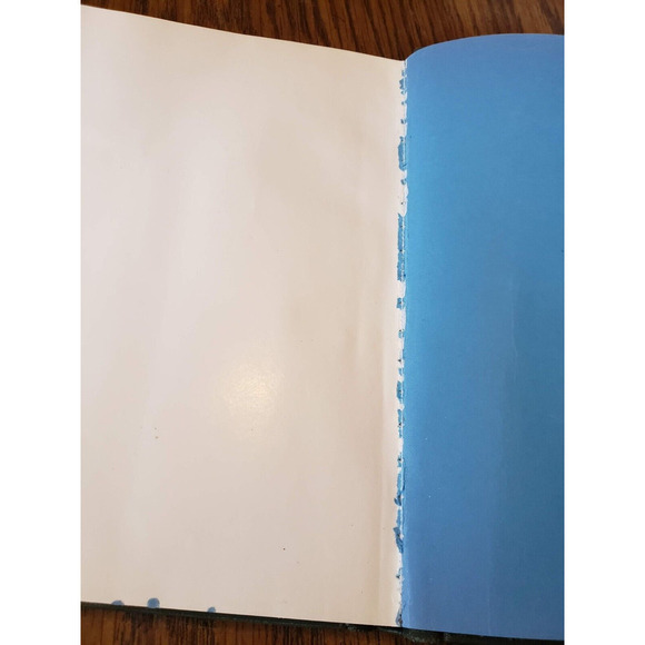 EARTHFIRE: THE ERUPTION OF MOUNT ST. HELENS By Charles Rosenfeld & Robert Cooke - Picture 10 of 10